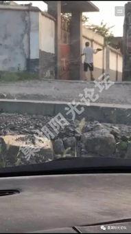 最新散兵爆料图片大全